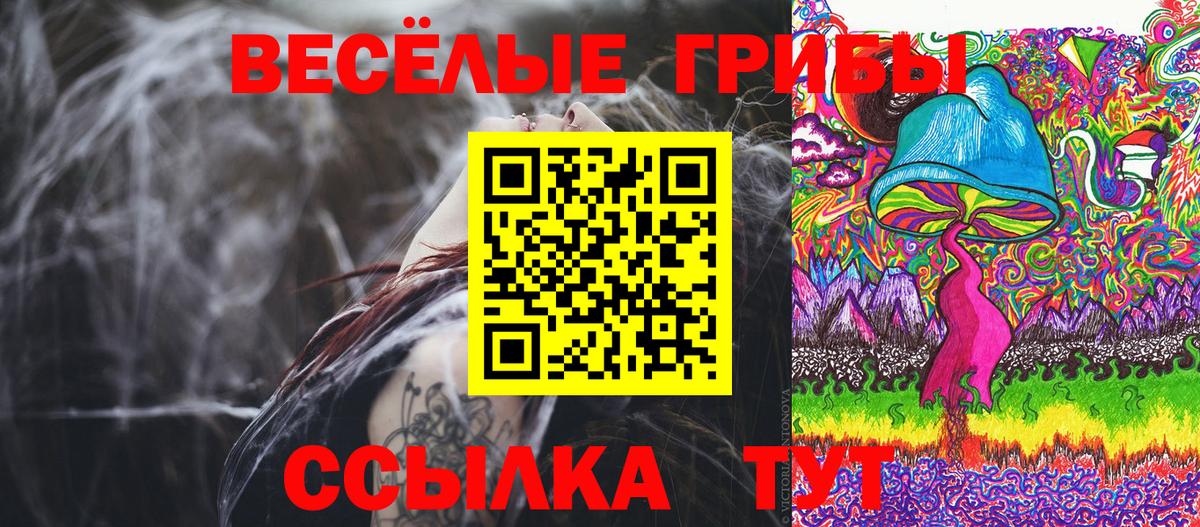 Малгобек  Псилоцибиновые грибы MAGIC MUSHROOMS  цены   Вход с VPN 